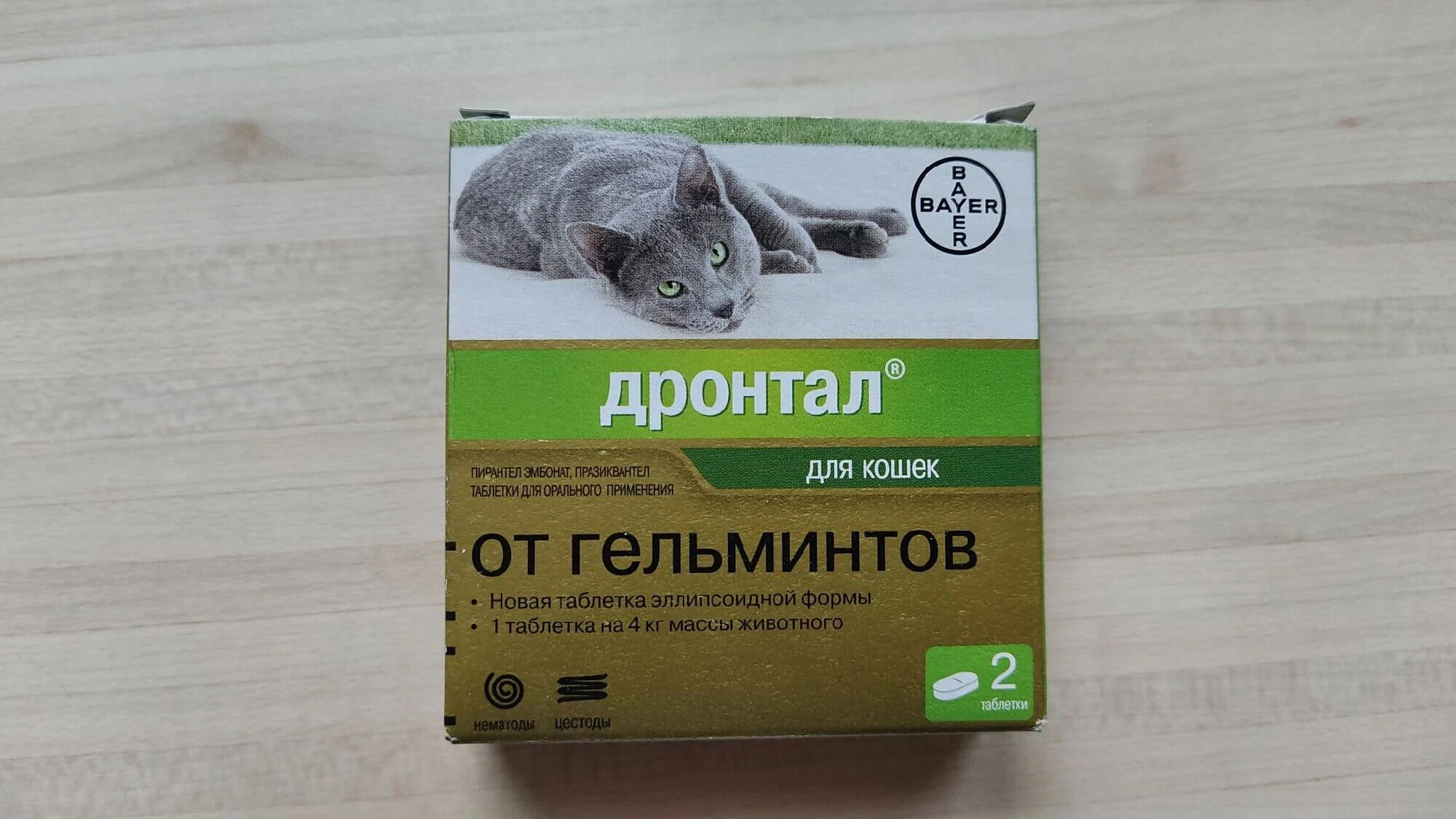 Черновик